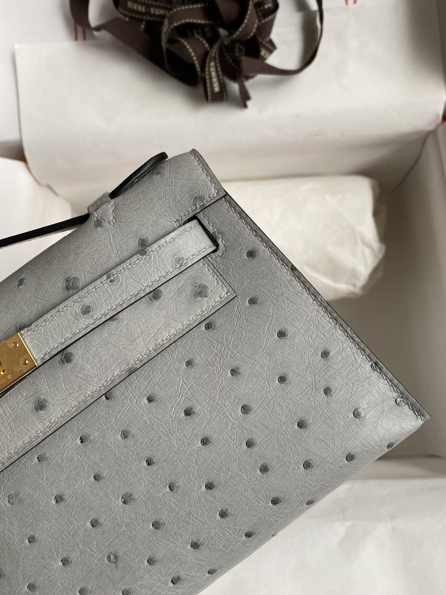 Hermes Mini Kelly Pochette 22cm Bag In Light Grey Ostrich Leather